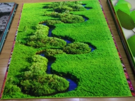 尼龍3D印花地毯